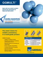 GGMULTI Brochure